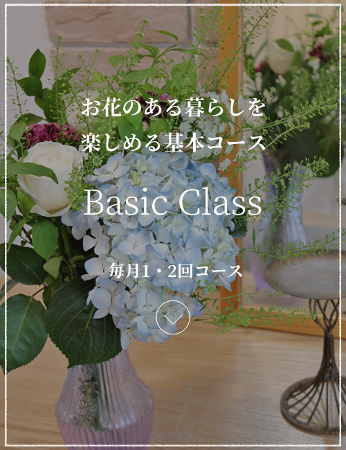 Basic Class
