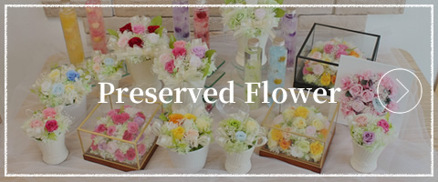 Preserved Flower