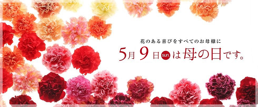 21 母の日の花贈り フラワーギフト予約開始しました 京都市伏見区の花屋 カエン より ブログ フローリスト花えん 21 母の日の花贈り フラワーギフト予約開始しました 京都市伏見区の花屋 カエン より ブログ フローリスト花えん